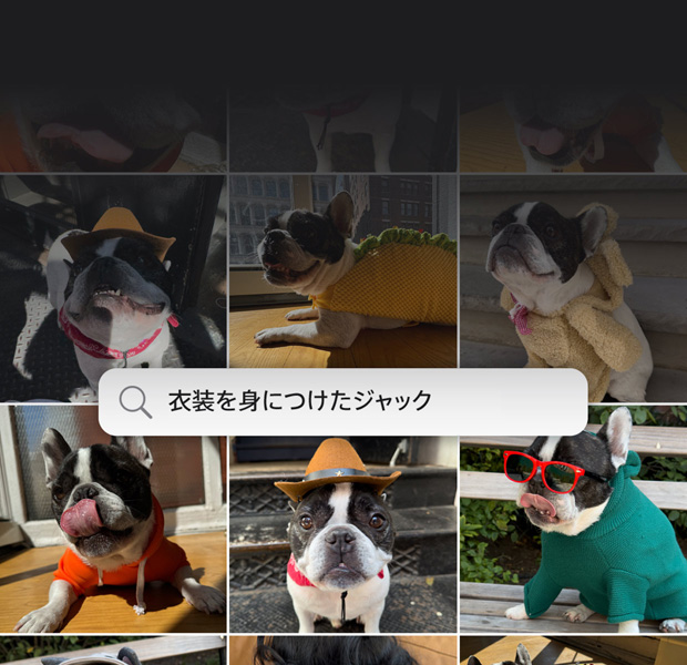 機能のデモ。自然な言葉づかいでの写真の検索。写真アプリ内に検索クエリーと「顔にステッカーを貼ったKatie」というフレーズの検索結果が表示されている