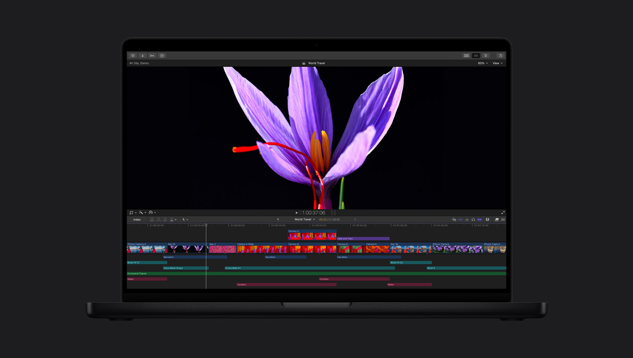 HDR sur un MacBook Pro 16, gros plan d’une fleur violette avec étamines rouges