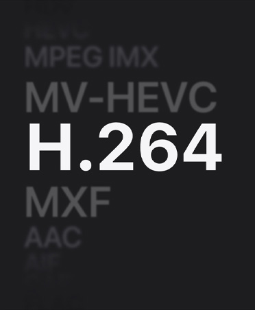 Liste des formats MPEG IMX, MV-HEVC, H.264, MXF, AAC
