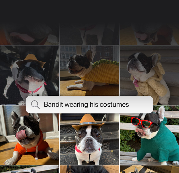 功能示範：使用自然語言搜尋相片。相片 app 根據「Bandit wearing his costumes」搜尋查詢顯示結果。